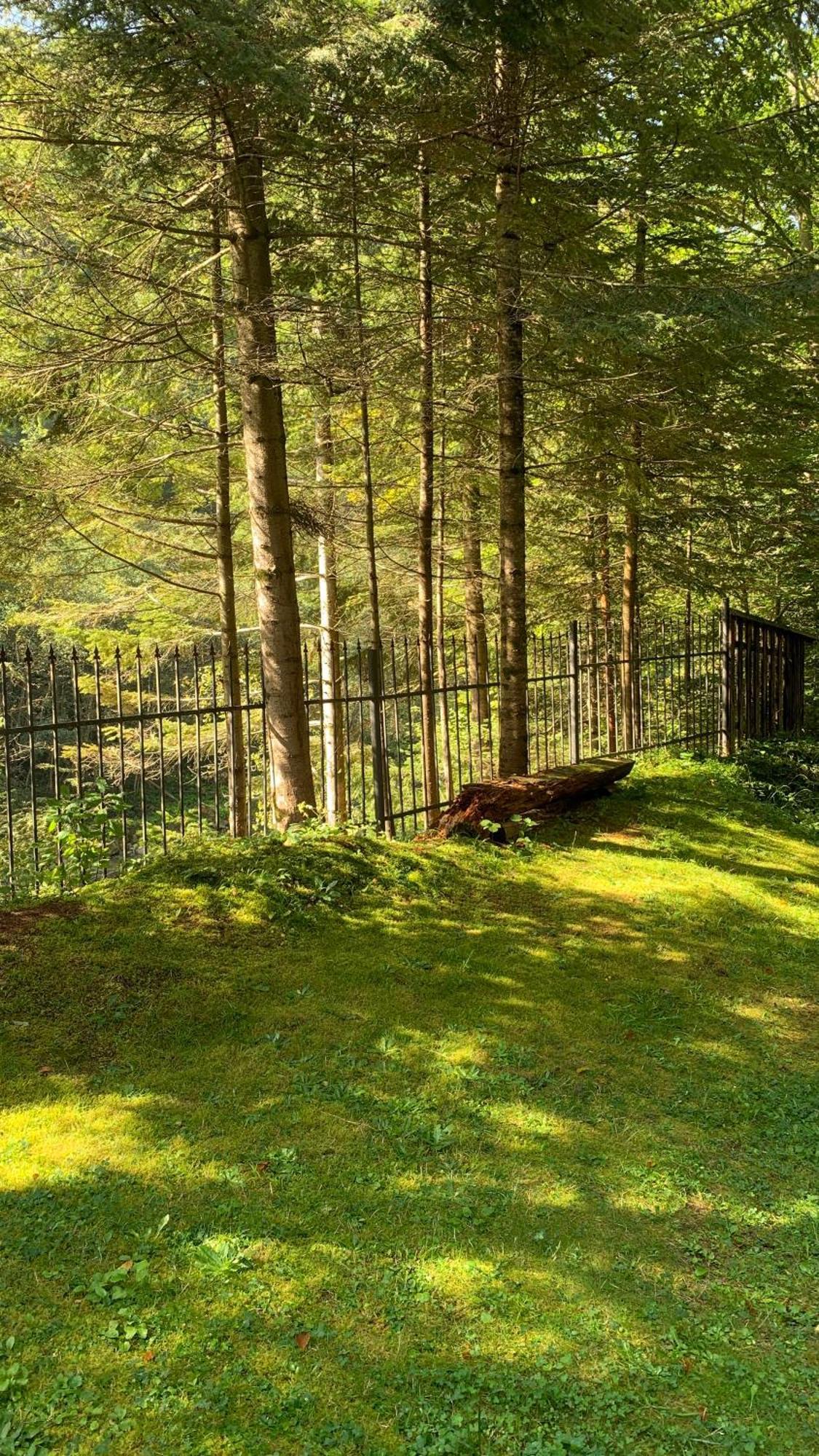 Садиба Nad Prutom Yaremche Dış mekan fotoğraf