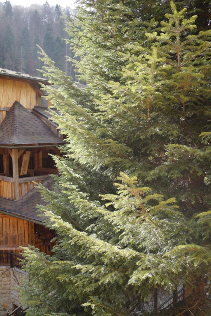 Садиба Nad Prutom Yaremche Dış mekan fotoğraf